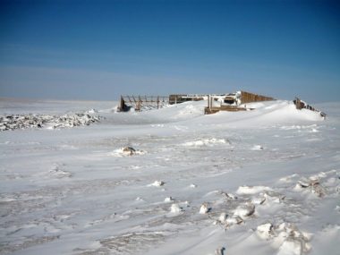 ゾドにより雪に埋まる畜舎 （2010年3⽉、ドンドゴビ県サインツァガーン郡）